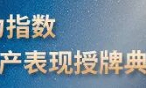 订立支持协议 宝龙地产艰难的境外债重组路径
