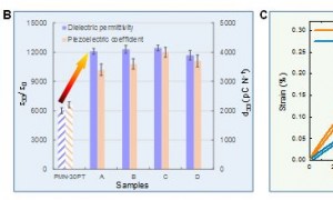 Science!西安交通大学在材料学领域取得重大突破