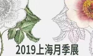 假期综合症?来这里让百万月季给你回回血!