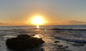 原创 
            迈瑞医疗董秘怼散户背后,看不起小散户的代价有多大?