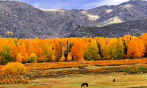 原创 
            六月运势急速飙升!4生肖有财神相助,财运蓄势待发