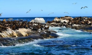 唯一拥有三个首都的国家,每年开采全球40%以上黄金