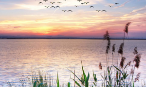 原创 
            六月不缺横财的4生肖,运势极好,财运变富贵