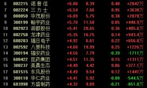 A股全线反弹沪指重上2900点!板块普涨,题材股开花