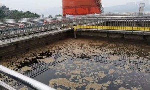 酒香不怕污水深?泸州老窖刘淼“责任论”受考