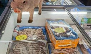 “猪肉一天一个价地往下掉”,繁育端陷入亏损,拐点何时出现?