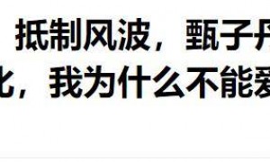 同样是换国籍,受邀观礼93阅兵的甄子丹,让李连杰和娱乐圈都沉默